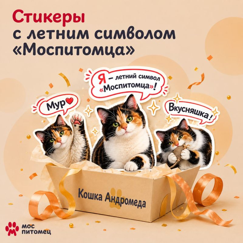 Наш летний амбассадор обзавелась стикерами! Красавица Андромеда будет радовать своей уморительной мордашкой наш канал всё лето