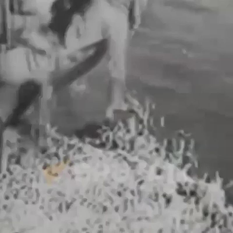 "Вставай, страна огромная!": 22 июня 1941 года советская земля содрогнулась от вторжения фашистских захватчиков