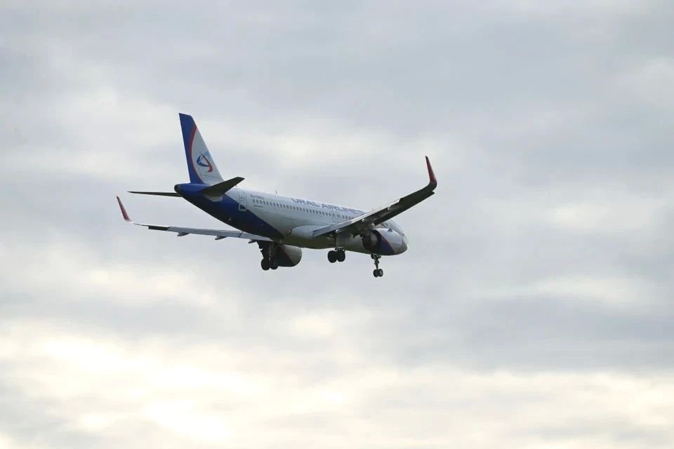 Дебошир с ножницами погиб во время рейса из Москвы в Омск