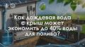�������� ������: ��� ��������� �� ������ �������