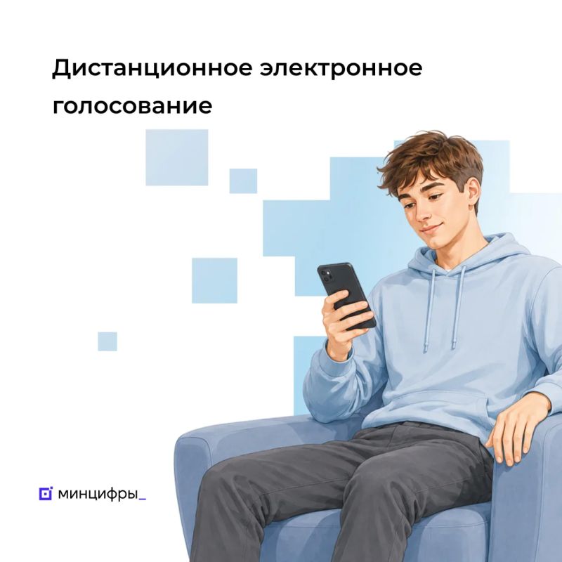 В 2026 году дистанционное электронное голосование пройдёт в 33 регионах России
