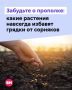 Каждый дачник знает это чувство: только вчера прополол грядки, а сегодня снова пожаловали зеленые «незваные гости»