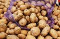 Россия в мае резко нарастила закупки картофеля у Грузии: импорт подскочил в 44 раза в месячном выражении - до $396 тыс, подсчитало РИА Новости по данным грузинской статслужбы