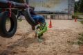 ������ ������������ � 2026�: �����, ������ ����������� � ������ ����������� �������