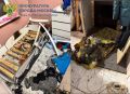 � ������ ������������� ������� ������ ������� � ���� �� ������ ��������