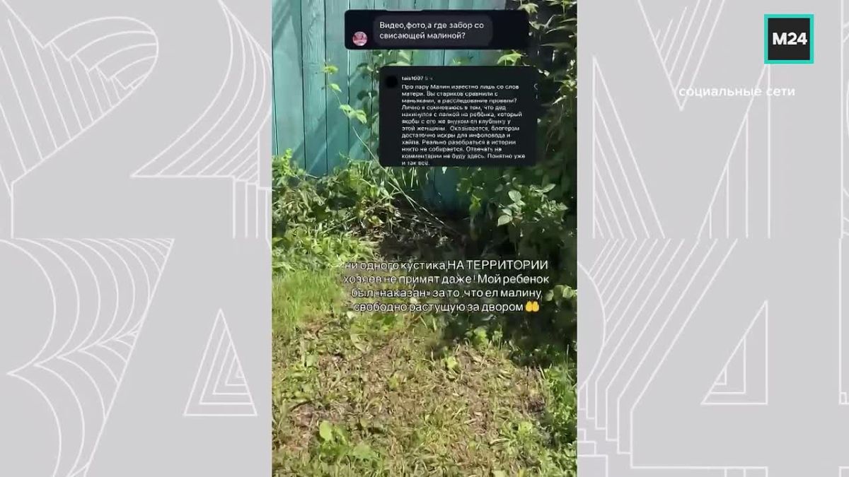 В Тюменской области пенсионер набросился на ребёнка изза малины