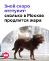 ���� ����������� ��������� �� ������� ��� � ���� � ����� ����� ��� �������