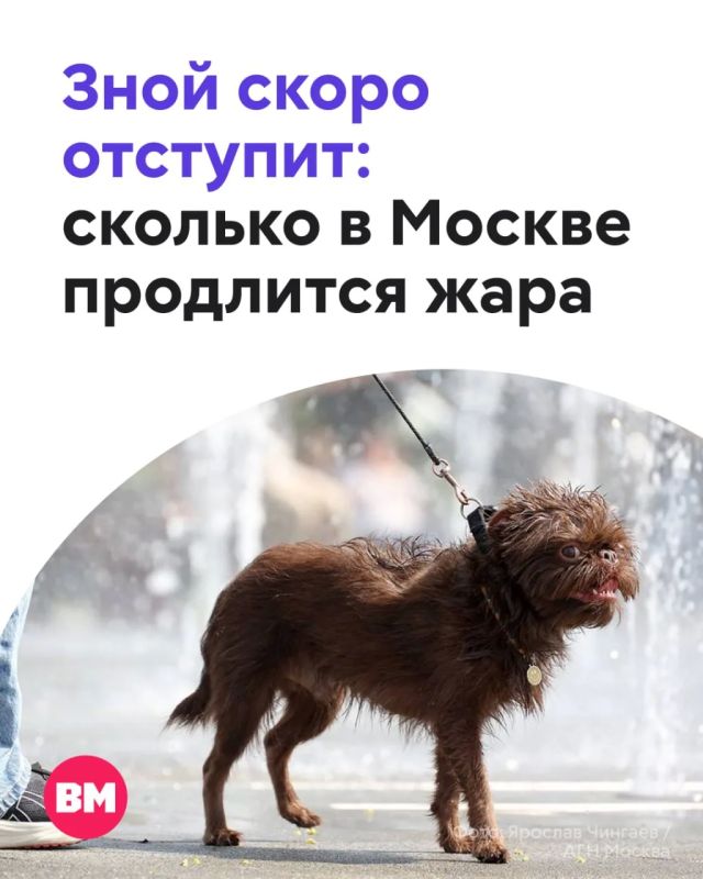 Если планировали выбраться на природу или к воде — самое время это сделать