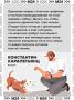 Собаки — генераторы позитива, и даже пять минут рядом с ними снимают стресс