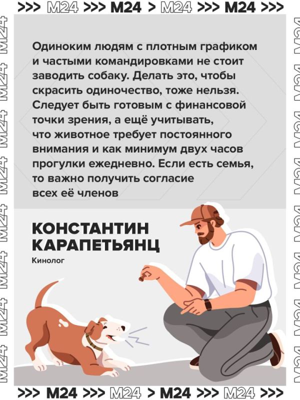 Собаки — генераторы позитива, и даже пять минут рядом с ними снимают стресс