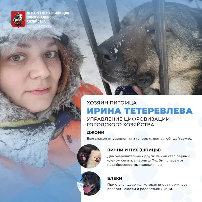 Сегодня отмечается Международный день собак!