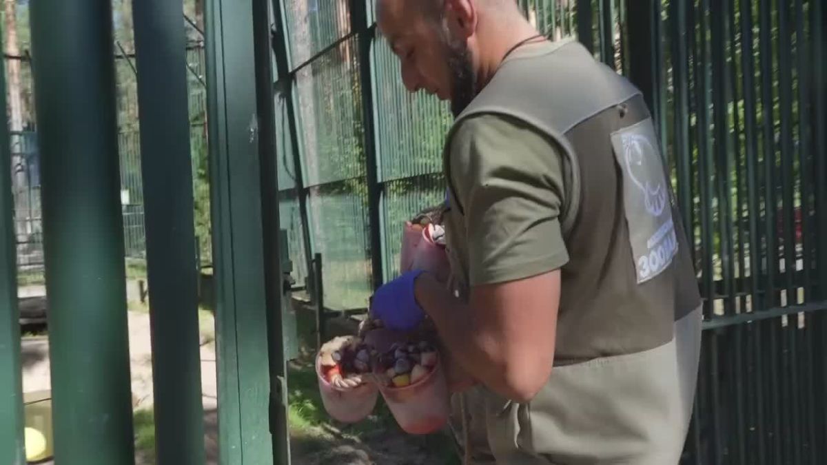 В такую жару каждый спасается по-своему: кто-то двигается перебежками от тенька к теньку, кто-то не расстается с веером, кто-то берет по 2 бутылки бесплатной питьевой воды в метро