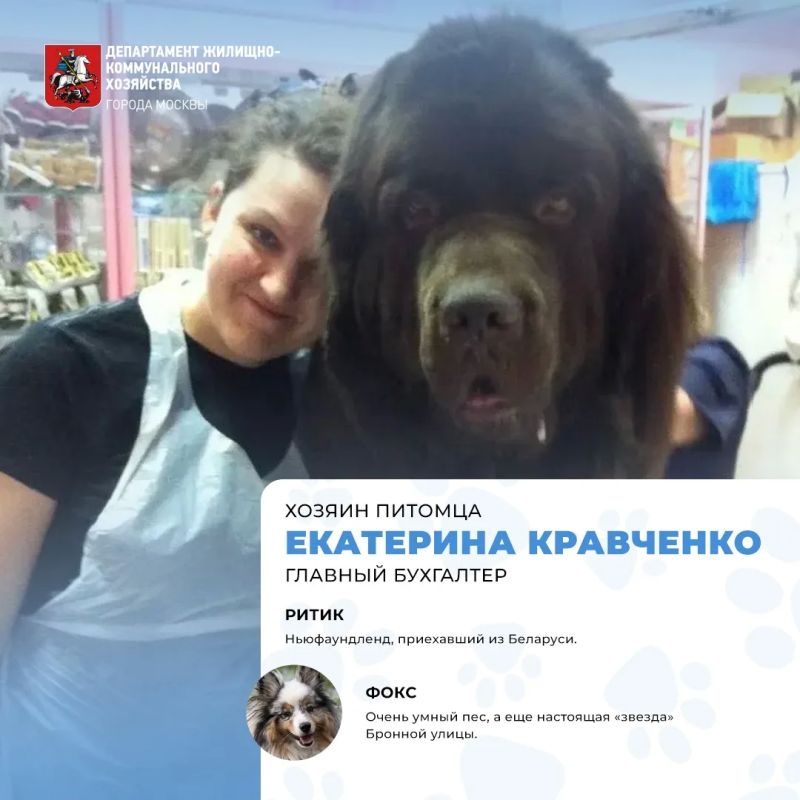Сегодня отмечается Международный день собак! Сегодня отмечается Международный день собак!