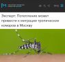 «Потепление может привести к миграции тропических комаров в Москву»: К обычным комарам в столице присоединятся «экзотические»