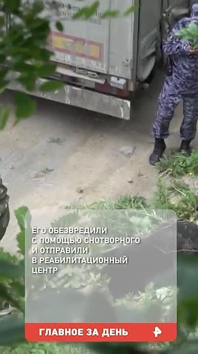 Иностранца, подозреваемого в покушении на украинского бизнесмена Вадима Ермолаева в Монако, задержали