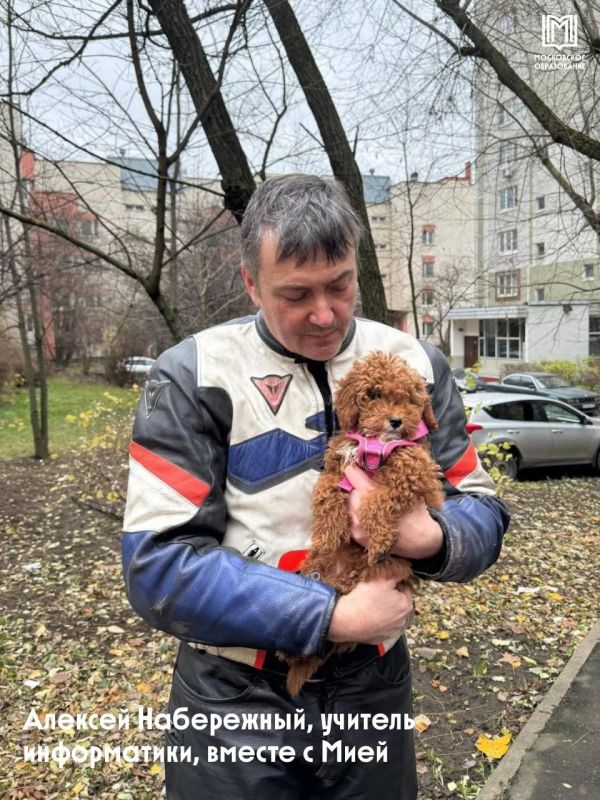 Гав-гав, сегодня отмечается день собак! Гав-гав, сегодня отмечается день собак!