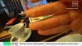 Посетительнице ресторана быстрого питания в Москве попалось стекло в упаковке наггетсов
