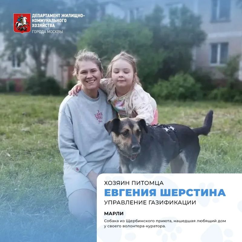 Сегодня отмечается Международный день собак! Сегодня отмечается Международный день собак!