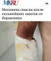 «Москвича спасли после сильнейших ожогов от борщевика»: Житель Москвы получил ожоги рук, шеи и тела после борьбы с борщевиком