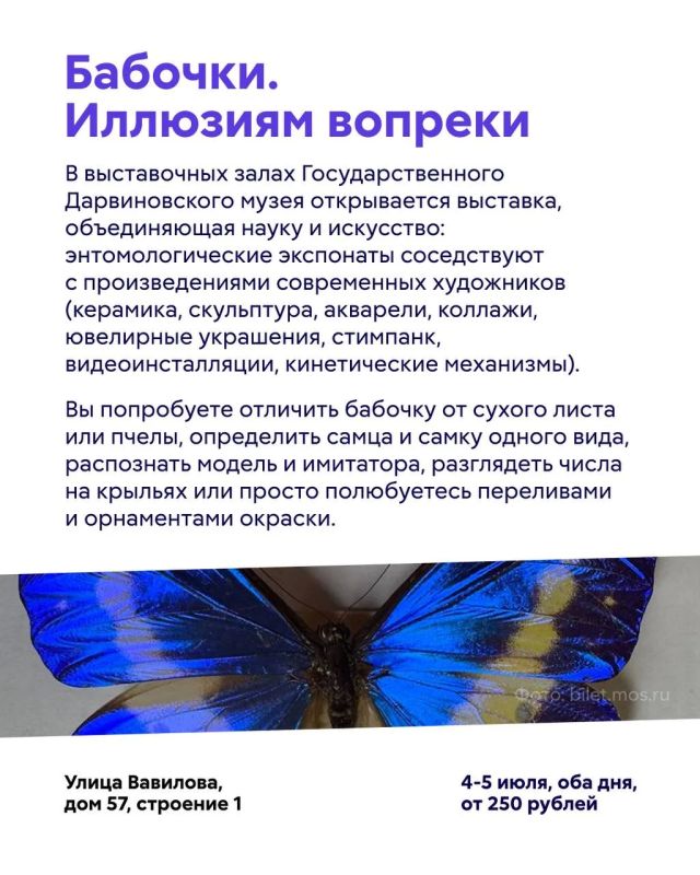 Куда сходить в Москве в эти выходные? Куда сходить в Москве в эти выходные?