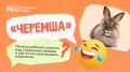 Кто такой Черемша и почему не стоит паниковать, если ваш ребенок над этим смеется?