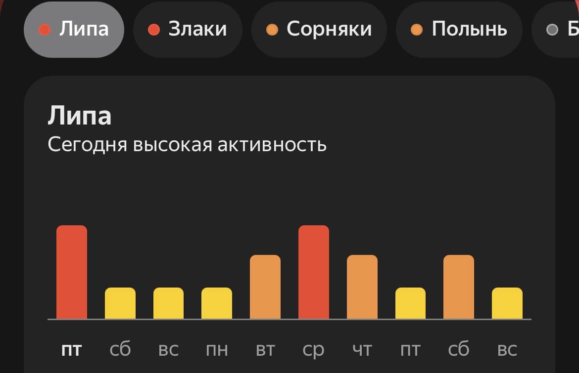 Сочувствуем аллергикам: сейчас в столице активно цветут липа, полынь и злаки, стоит быть аккуратнее