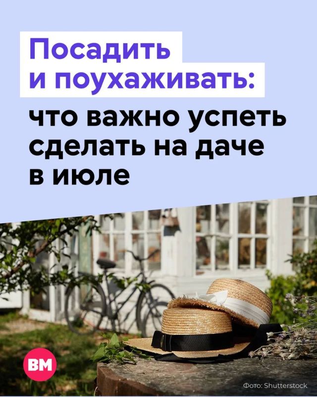 Свой огород — это всегда свежие продукты, натуральность которых не вызывает сомнений