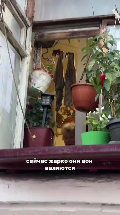 Вайб девяностых в центре Москвы