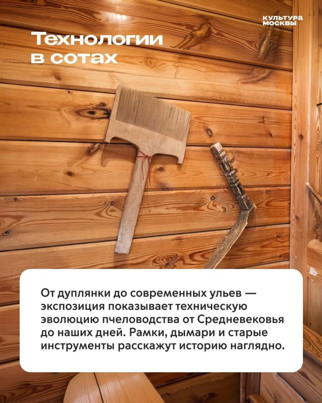 Пасека, царский напиток и штраф по «Русской правде» — что объединяет эти три вещи? Пасека, царский напиток и штраф по «Русской правде» — что объединяет эти три вещи?