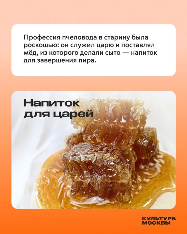 Пасека, царский напиток и штраф по «Русской правде» — что объединяет эти три вещи? Пасека, царский напиток и штраф по «Русской правде» — что объединяет эти три вещи?