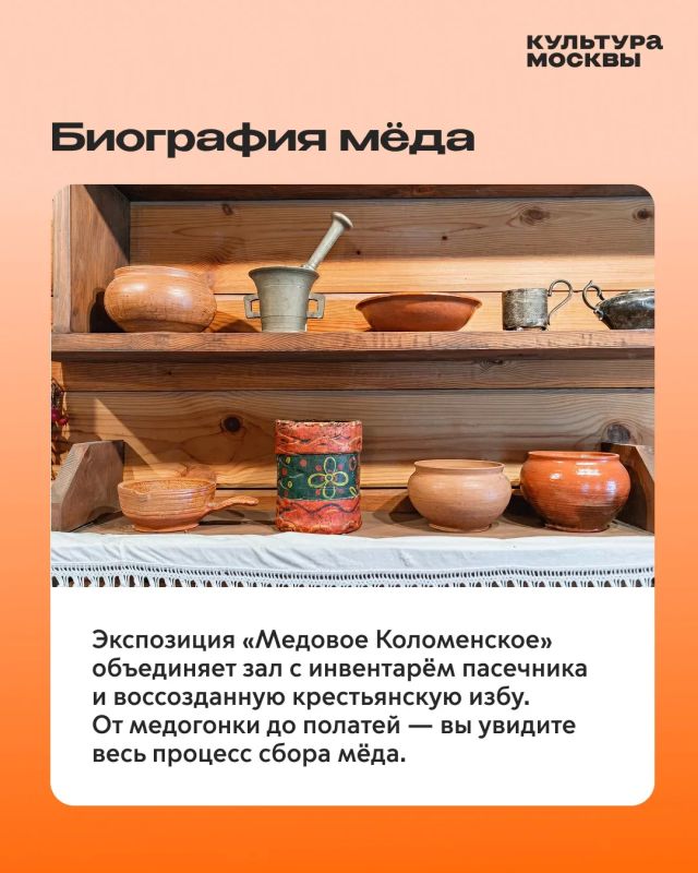 Пасека, царский напиток и штраф по «Русской правде» — что объединяет эти три вещи? Пасека, царский напиток и штраф по «Русской правде» — что объединяет эти три вещи?