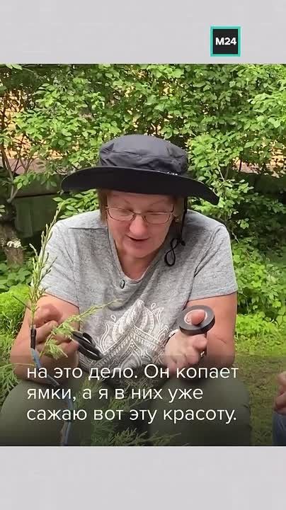 Фигурная стрижка кустов неожиданно стала модным хобби