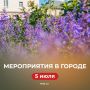 Чем заняться в воскресенье? Ловите идеи