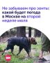 Похоже, зонтик станет главным аксессуаром следующей недели
