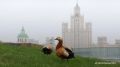 Облачную погоду с прояснениями и до 23 градусов тепла прогнозируют в Москве в понедельник