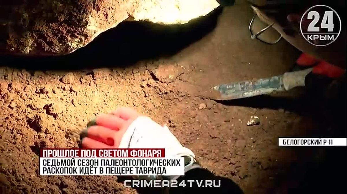 Седьмой сезон палеонтологических раскопок идёт в пещере «Таврида»