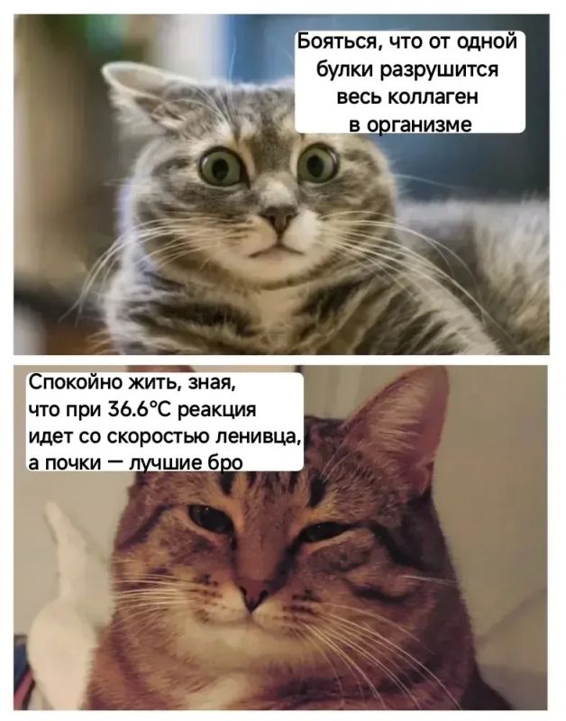 Анна Долгарева: Я купила аэрогриль (играет тревожная музыка) Анна Долгарева: Я купила аэрогриль (играет тревожная музыка)