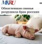 «Обнаглевшая свинья разрушила брак россиян»: Москвич выбрал свинью вместо семьи после ультиматума жены