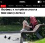 «Любовь к голубям стоила москвичу легких»: В Москве у мужчины воспалились легкие из-за голубей