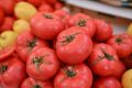 Летом томаты становятся одними из главных героев сезона