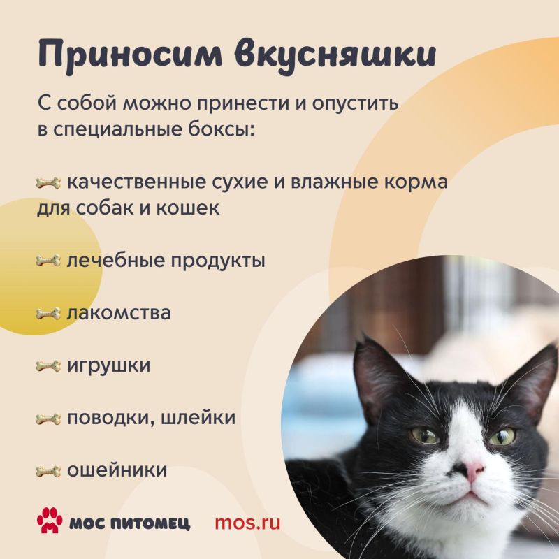 Найти четвероного друга, осуществить желания пушистиков и просто хорошо провести время среди животных — все это можно будет сделать на фестивале «Моспитомец» Найти четвероного друга, осуществить желания пушистиков и просто хорошо провести время среди животных — все это можно будет сделать на фестивале «Моспитомец»