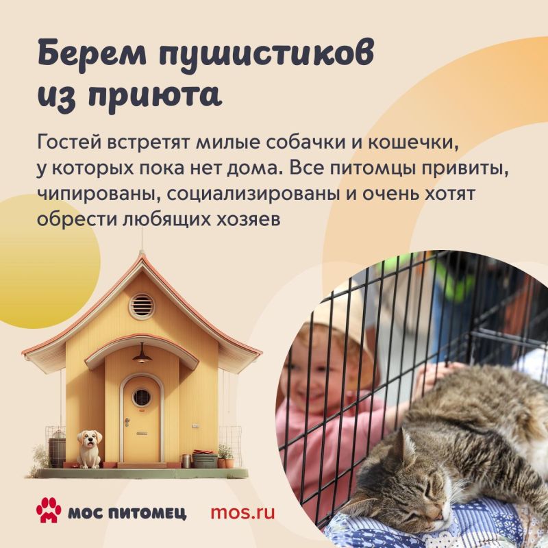 Найти четвероного друга, осуществить желания пушистиков и просто хорошо провести время среди животных — все это можно будет сделать на фестивале «Моспитомец» Найти четвероного друга, осуществить желания пушистиков и просто хорошо провести время среди животных — все это можно будет сделать на фестивале «Моспитомец»