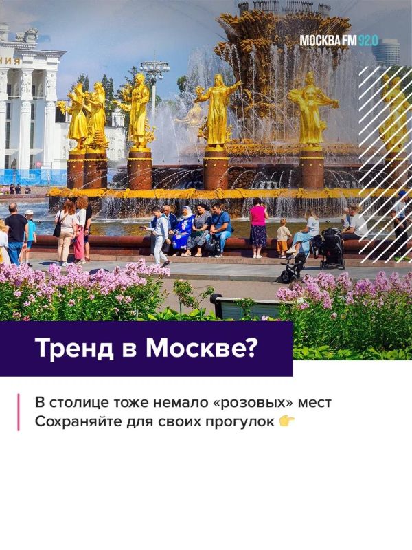 Цветом сезона внезапно стал РОЗОВЫЙ Цветом сезона внезапно стал РОЗОВЫЙ