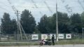 Мотоциклисты спасли птенца чайки и вернули его родителям