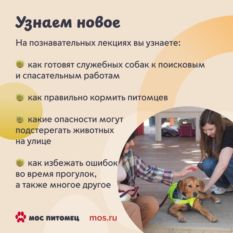 Найти четвероного друга, осуществить желания пушистиков и просто хорошо провести время среди животных — все это можно будет сделать на фестивале «Моспитомец» Найти четвероного друга, осуществить желания пушистиков и просто хорошо провести время среди животных — все это можно будет сделать на фестивале «Моспитомец»