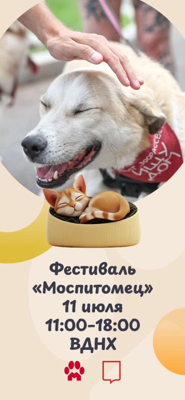 Найти четвероного друга, осуществить желания пушистиков и просто хорошо провести время среди животных — все это можно будет сделать на фестивале «Моспитомец»
