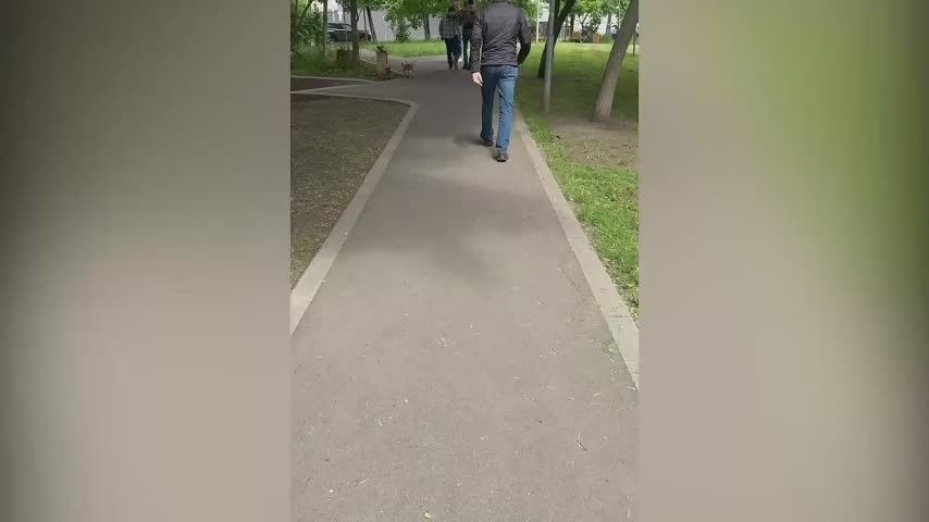 «Собаку в приют не сдадут»: силовики нашли новую семью для корги задержанной в Москве шпионки СБУ