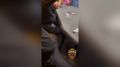 � ������ ������ ������������ ������������ ���������� ������� ����