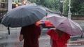 Сильный дождь с грозой начнется в Москве и Подмосковье после 15:00 мск