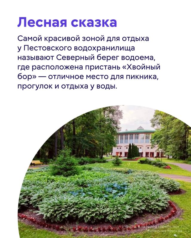 Все больше людей меняют шумные отели и многолюдные курорты на уютные домики, глэмпинги и уединенные места среди природы Все больше людей меняют шумные отели и многолюдные курорты на уютные домики, глэмпинги и уединенные места среди природы